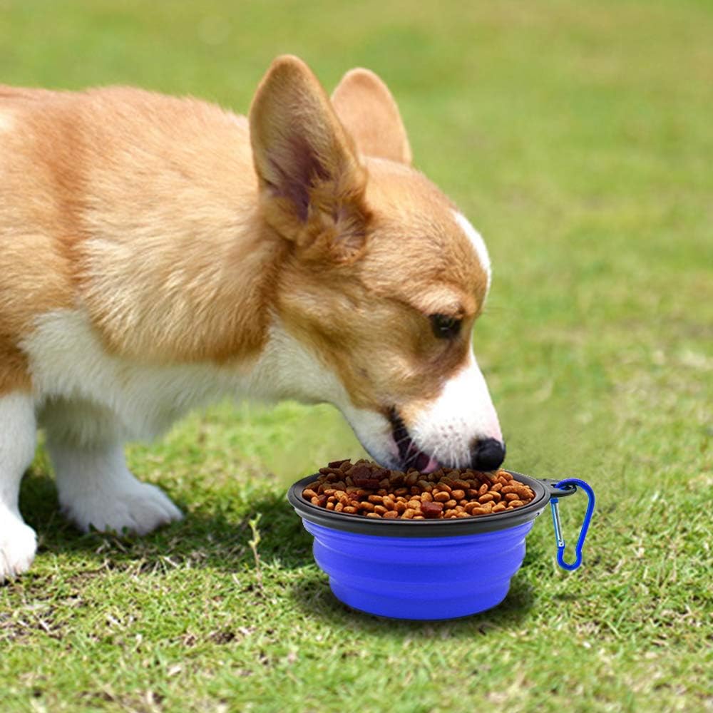 Portable Pop-Up Pet Bowls