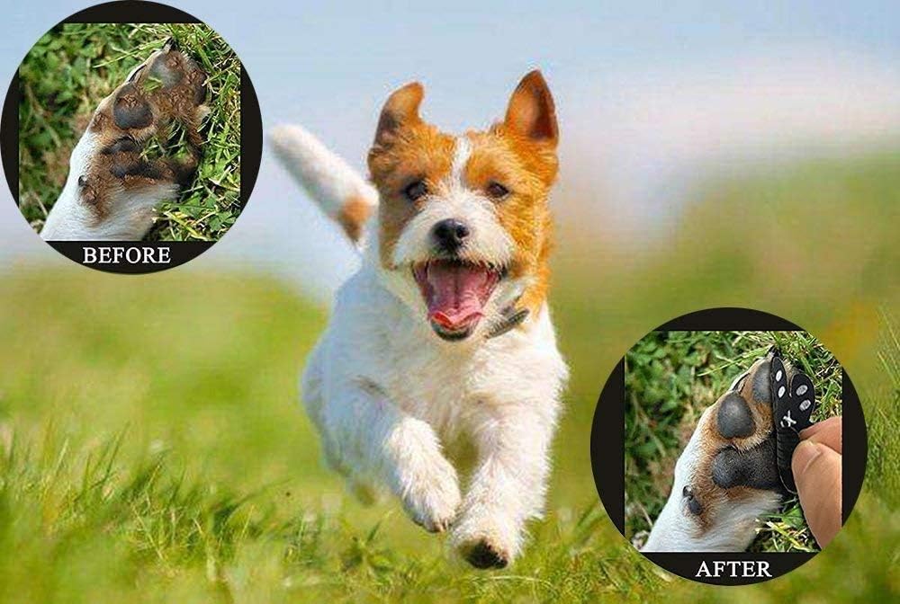 Paw Grips for Happy Dogs