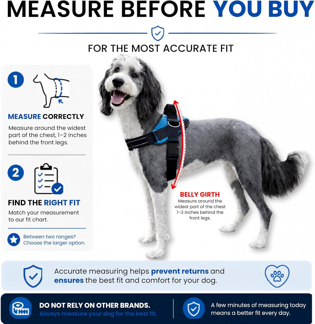 Ocean Breeze Dog Harness