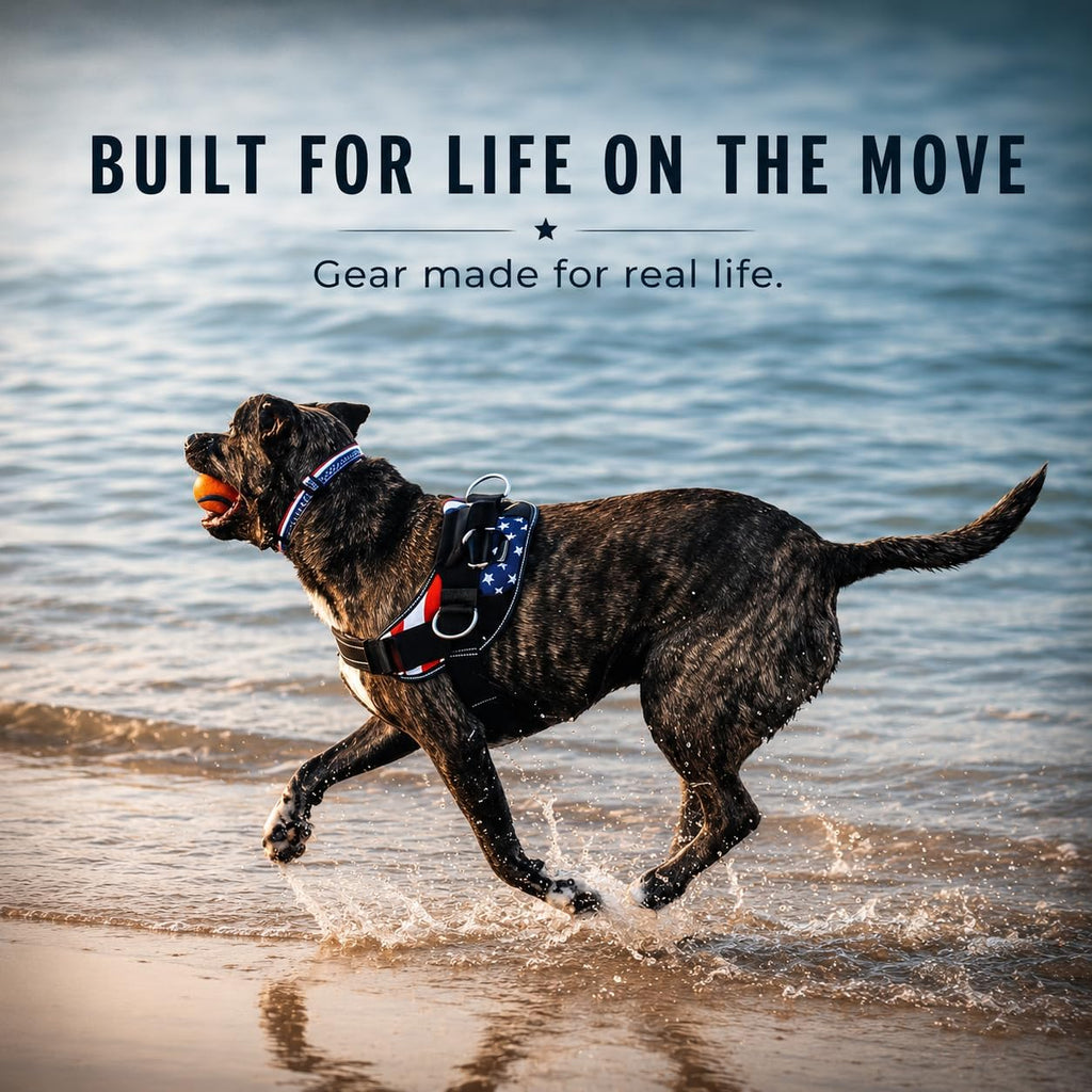 Ocean Breeze Dog Harness