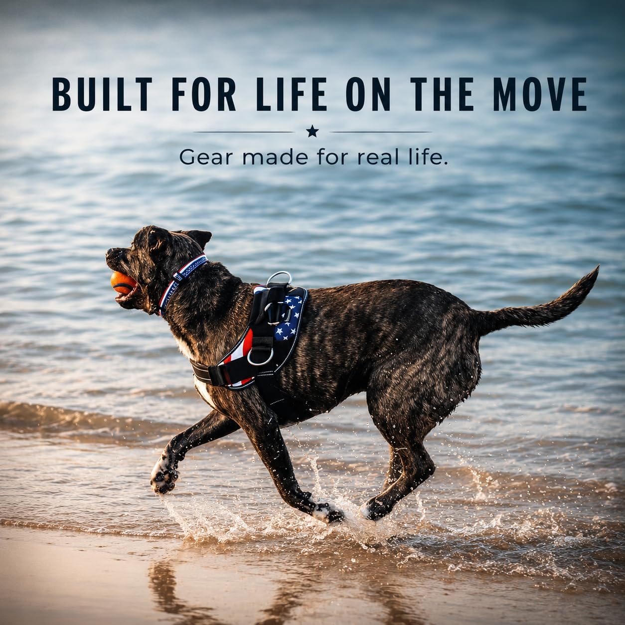 Ocean Breeze Dog Harness