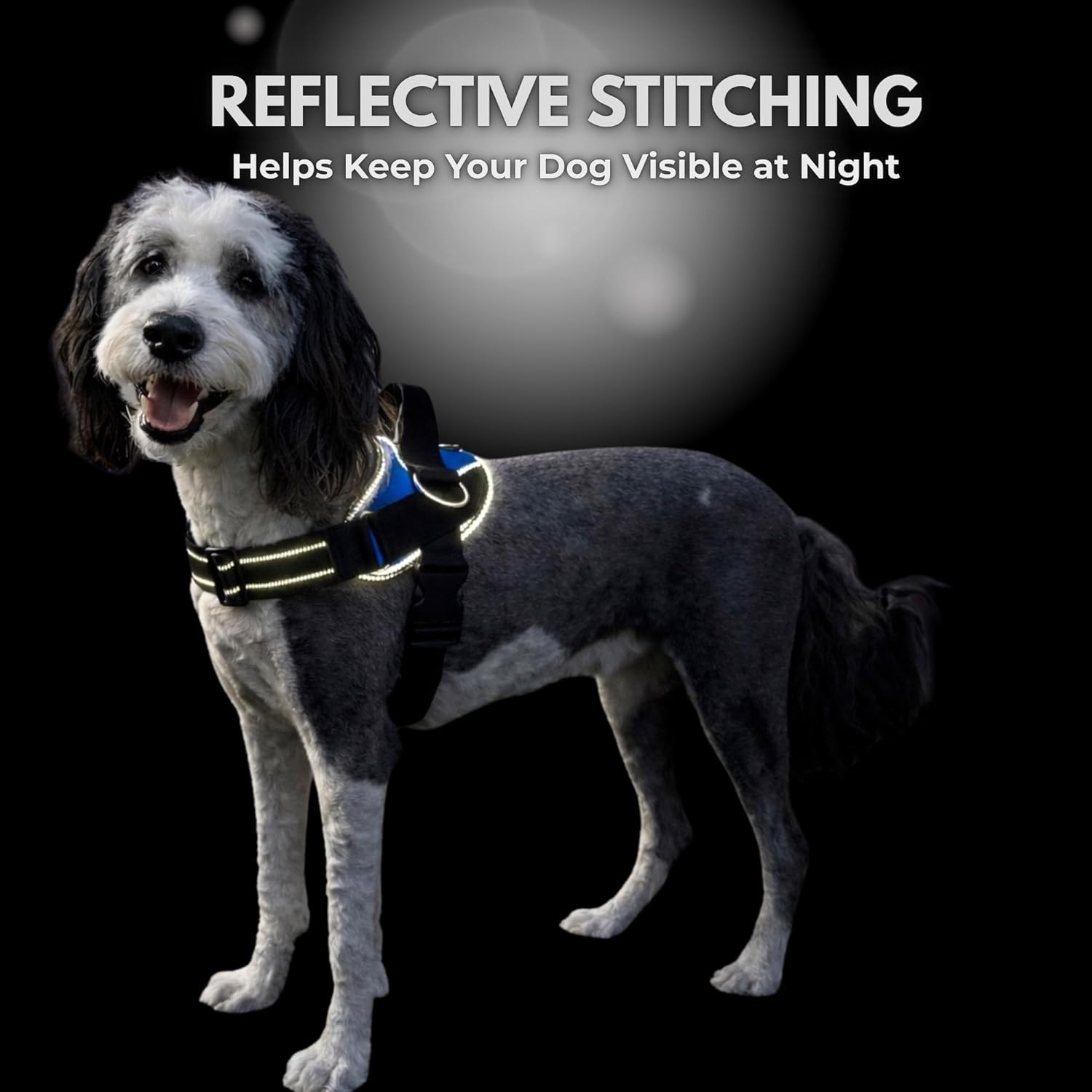 Ocean Breeze Dog Harness