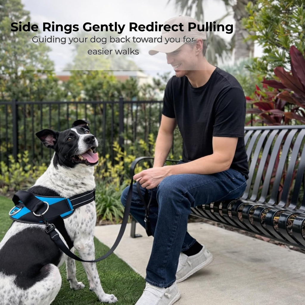 Ocean Breeze Dog Harness